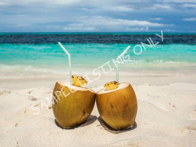 Fresh Niger Coconut