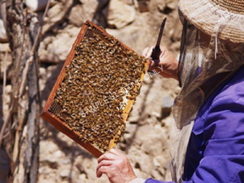 Pure Niger Honey