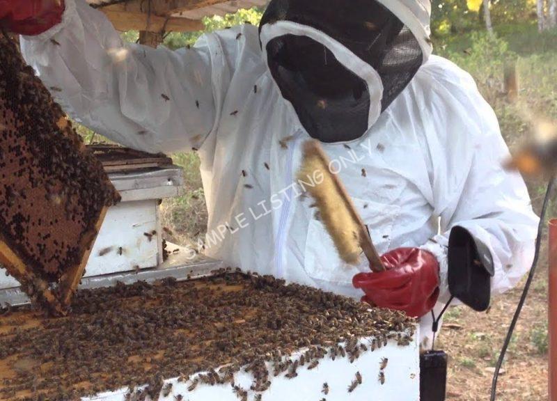 Sweet Niger Honey